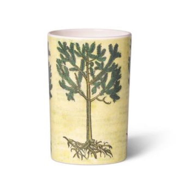 John Derian For Target Other - |John Derian| Vase